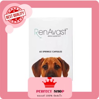 Renavast for Dog ยกกล่อง60เม็ด อาหารเสริมโปรตีน บำรุงไต exp8/2024