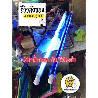 Light หลอดไฟล่อแมลงมี2แบบ ไฟบ้านกับไฟเเบตเตอรี่🟣หลอดผอมกับอ้วนหลอดBlackLightT8 🔌เลือกพร้อมรางพร้อมสายไฟ+ปลั๊กตัวผู้