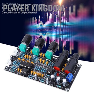 Player kingdom โมดูลแอมพลิฟายเออร์ บอร์ด AMP เสียง 2-ไมโครโฟน-อินพุต 2-ช่องเสียง XH-M273 DC12-24V