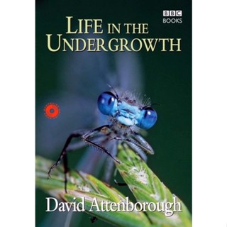 DVD BBC Life In The Undergrowth (2005) โลกมหัศจรรย์ของแมลง (เสียง ไทย/อังกฤษ | ซับ ไทย/อังกฤษ) DVD