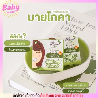 สูตรใหม่ 💥 Poca บาย โภคา ยาสีฟัน สมุนไพร 25 g. Phoca ฟันสวย ของแท้ พร้อมส่ง