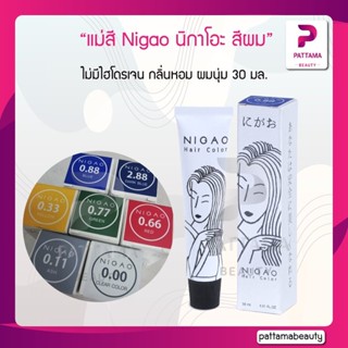 Nigao นิกาโอะ แม่สี สีผม 30 มล. ไม่มีไฮโดรเจน ให้ระดับสีที่โดดเด่น