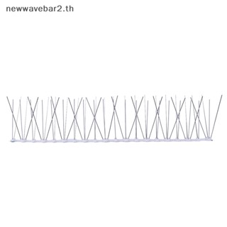 【ขายดี】ตะปูสเตนเลส ป้องกันนกพิราบ สําหรับไล่นก 1 ชิ้น