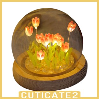 [Cuticate2] โคมไฟกลางคืน LED DIY สําหรับหอพัก ห้องนอน ครบรอบ