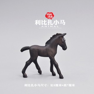 [ลดราคา] ชุดโมเดลสัตว์ ของเล่นเด็ก วัน Lipidza Pony