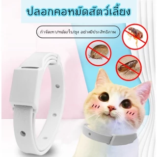 พร้อมส่ง🐾ปลอกคอกำจัดเห็บ หมัด สุนัข และแมว กันน้ำได้ ปลอกคอกันเห็บ ปลอกคอกันหมัด ใช้ได้นาน8เดือน