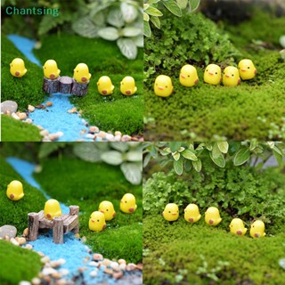 &lt;Chantsing&gt; ฟิกเกอร์ไก่จิ๋ว สีเหลือง DIY สําหรับตกแต่งบ้านตุ๊กตา สวนจิ๋ว 5 ชิ้น