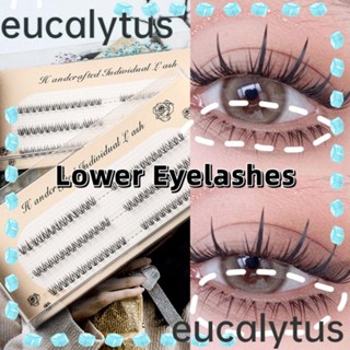 Eucalytus1 ขนตาปลอม รูปตัว W คลัสเตอร์เดี่ยว นิ่ม สีดํา สําหรับผู้หญิง