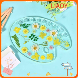 Liaoy พาเลทผสมสีทาเล็บ อุปกรณ์แต่งหน้า