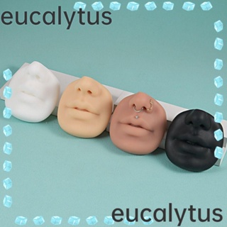 Eucalytus1 โมเดลซิลิโคน รูปจมูก 5D สําหรับผู้เริ่มต้นฝึกสัก PMU