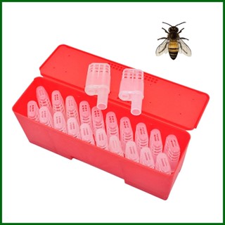 Queen Bee Isolator Bee Transport Box Bee Queen Cell Cages อุปกรณ์เลี้ยงผึ้ง พร้อมกรง demebth