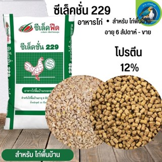 อาหารไก่พื้นบ้าน ซีเล็คชั่น 229 (แบ่งขาย 500G / 1KG) สำหรับไก่พื้นบ้านอายุ 6 สัปดาห์ขึ้นไป