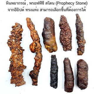 หินพยากรณ์ , พรอฟฟีซี สโตนทรงแท่ง (Prophecy Stone-Hematite After Marcasite) อียิปต์ สามารถเลือกชิ้นที่ต้องการได้