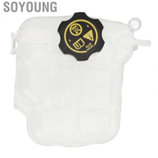 Soyoung Radiator Coolant Tank  Direct Replacement 13256823 Wear Resistant  for Car