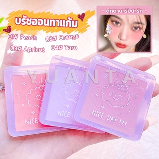 Yuanta บลัชออน บลัชออนโทนส้ม บรัชออนทาแก้ม เนื้อดี สีสวย ติดทน blush