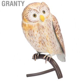 Granty Owl Sculpture Iron Owl Figurine Ornament Lifelike for Garden for Office for Home