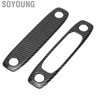 Soyoung Reading Light Frame  Carbon Fiber Top Cover for Car Modification