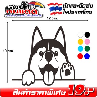 สติ๊กเกอร์ น้องหมาน่ารัก ลายน้องหมาสวยๆ รหัส DOG-8563 งานตัดประกอบ ไม่ใช่งานพิมพ์ ขนาด 10x12ซ.ม.