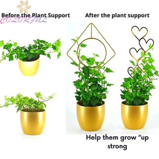 【COLORFUL】Plant Trellis Support Stake Anti-rust Coating Climbing Creativity For Vines