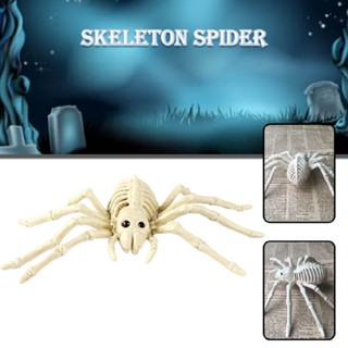 New 1pc Fake Spider Bone Realistic Skeleton Frog Toy Halloween Decoration