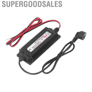 Supergoodsales Lithium Battery Charger Smart for Lifepo4 Iron Phosphate Batteries 24V(29.2V) 10A AC to DC Waterproof 90‑265VAC