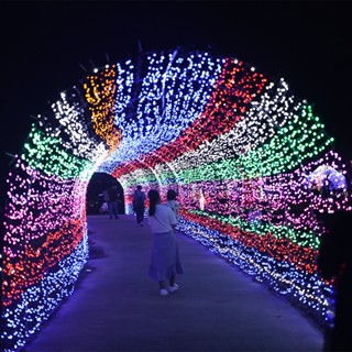 สายไฟกระพริบ Led 96 ดวง รูปดาว น้ําแข็ง กันน้ํา ขนาด 4 ม. 0.6 ม. สําหรับตกแต่งคริสต์มาส กลางแจ้ง