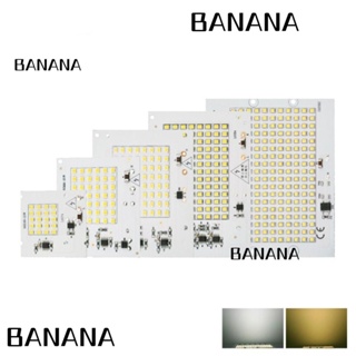 Banana1 ชิปไฟสปอตไลท์ LED 220V อินพุต SMD 2835 พลังงานสูง สีขาวอบอุ่น 10W 20W 30W 50W 100W ไม่ต้องใช้ไดรเวอร์