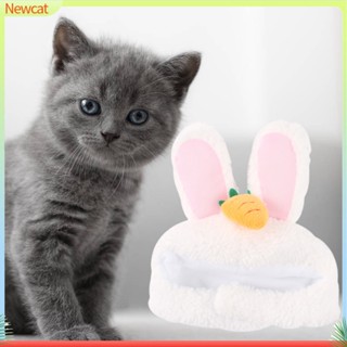 {Newcat} หมวกคอสเพลย์ ลายการ์ตูนแครอท กระต่ายน่ารัก สําหรับสัตว์เลี้ยง สุนัข แมว พร็อพถ่ายรูป ปาร์ตี้ฮาโลวีน