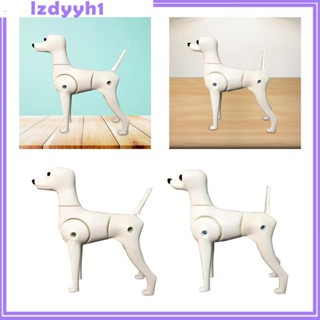 [JoyDIY] โมเดลหุ่นสุนัขปลอม โมเดลโครงกระดูก สําหรับสัตว์เลี้ยง