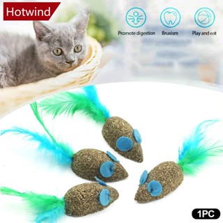 Hotwind ของเล่นลูกบอลขนนก สําหรับแมว ขนมขบเคี้ยว D9H4