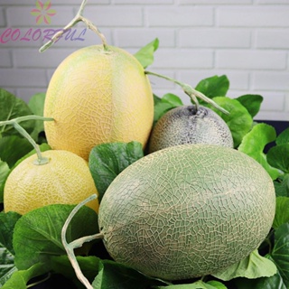【COLORFUL】Artificial Model Apartment Simulation Fruit Store Display Cabinet Decoration