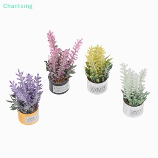 &lt;Chantsing&gt; กระถางเหล็กลาเวนเดอร์ ขนาดเล็ก สําหรับตกแต่งบ้านตุ๊กตา 1:12 ลดราคา