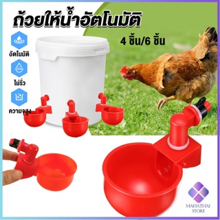 Mahathai ถ้วยให้น้ำอัตโนมัติ สำหรับไก่ 4 ชิ้น 6 ชิ้น Automatic drinker