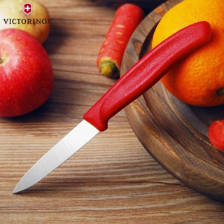 มีด VICTORINOX Swiss Classic Paring Knife 8cm 6.7601 - Red มีดครัว มีดหั่น มีดปลอกเปลือก ใบมีดสแตนเลส ด้ามจับพีพี