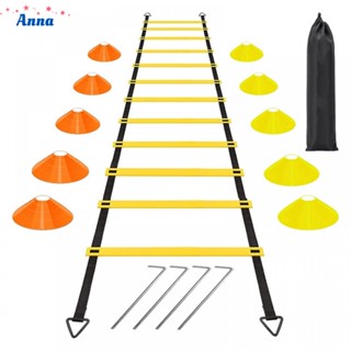 【Anna】Coordination Ladder Double-sided For Added Stability Plastic+cloth+iron