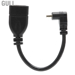 Guli Male To Mini Adapter Cable Female Audio Video Converter For