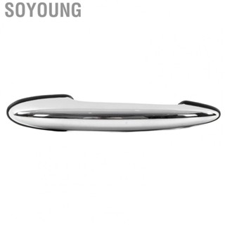 Soyoung Exterior Door Handle  Right UV Resistant Low Temperaturesistant 51217147503  for Car Accessories