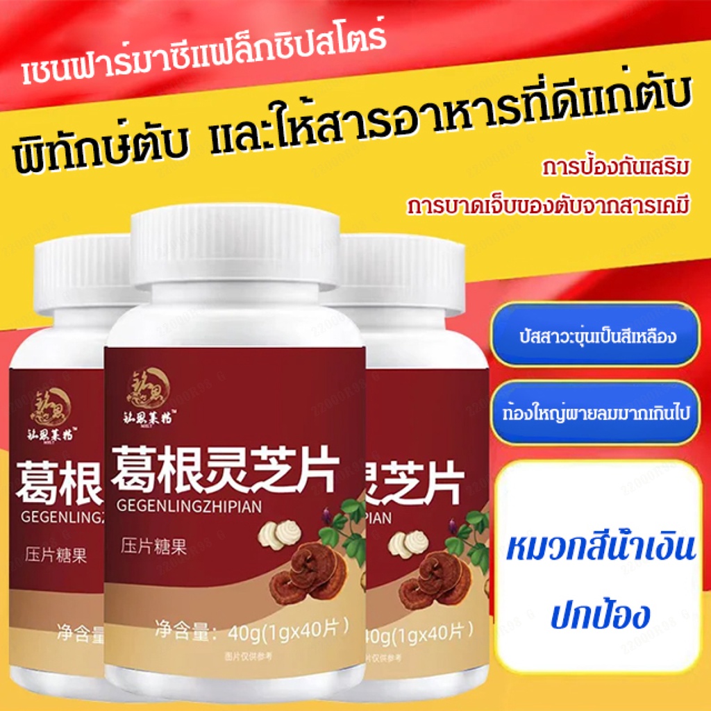 [ พร้อมสต็อก]【ปกป้องตับและลดไขมัน】เม็ดเห็ดหลินจือรากคุดสุ แท็บเล็ตป้องกันตับ