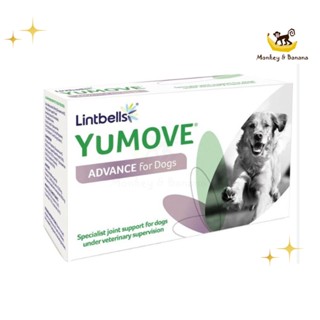 EXP2/2025 Lintbell Yumove advance 360 for Dog 60 เม็ด บำรุงข้อสุนัข