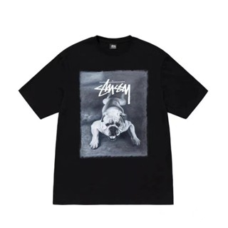 เสื้อยืดแขนสั้น พิมพ์ลาย Stussy-Fashion trend สไตล์คลาสสิก สําหรับผู้ชาย และผู้หญิง