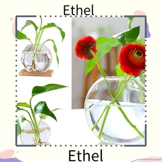 Ethel1 แจกันดอกไม้ไฮโดรโปนิกส์ สร้างสรรค์ สําหรับตกแต่งบ้าน