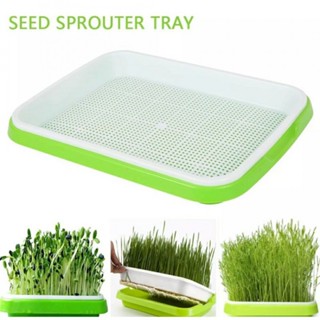 Sprouting Tray Container Germination Grow Nursery Planting Box Plastic