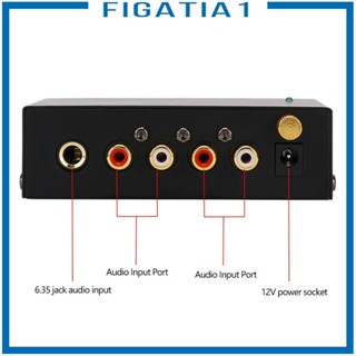 [figatia1] เครื่องเล่นแผ่นเสียง เครื่องเล่นแผ่นเสียง RCA อินพุต RCA เอาท์พุต