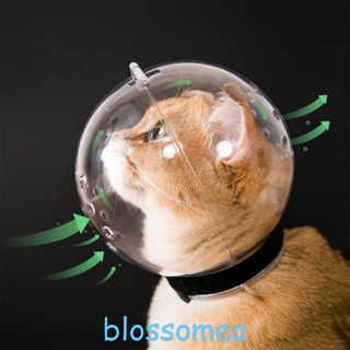 Blossomea ตะกร้อครอบหัว ระบายอากาศ ป้องกันการกัด สําหรับสัตว์เลี้ยง แมว