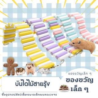 [hammyscience] สะพานดัด ของเล่นสำหรับสัตว์เลี้ยง แฮมสเตอร์ เม่นแคระ