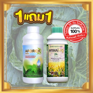 ซื้อ1แถม1*สารนำใบ เอฟอช 1ขวด ปุ๋ยน้ำ แกรมม่าทู 1ขวด ชุดคู่สุดคุ้มขวดใหญ่ (ขนาด1ลิตร) เซ็ต2ขวด เพิ่มการเปียก แทรกซึมใบ