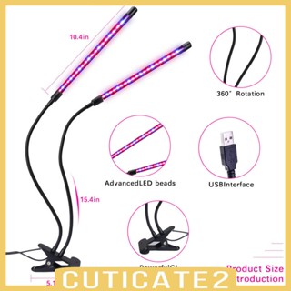 [Cuticate2] ไฟปลูกต้นไม้ 1 หลอด