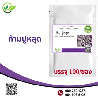 Popaya inch plant ก้ามปู-หลุด  /ก้ามปู ผงเเท้100% บรรจุ100 C.