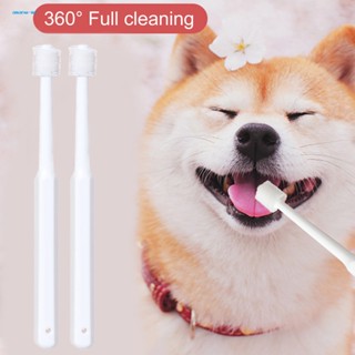 Am* Pawfectsmile แปรงสีฟัน ขนแปรงนุ่ม สําหรับสัตว์เลี้ยง 360° อุปกรณ์ทําความสะอาดช่องปาก กําจัดกลิ่นปาก สําหรับสัตว์เลี้ยง สุนัข แมว