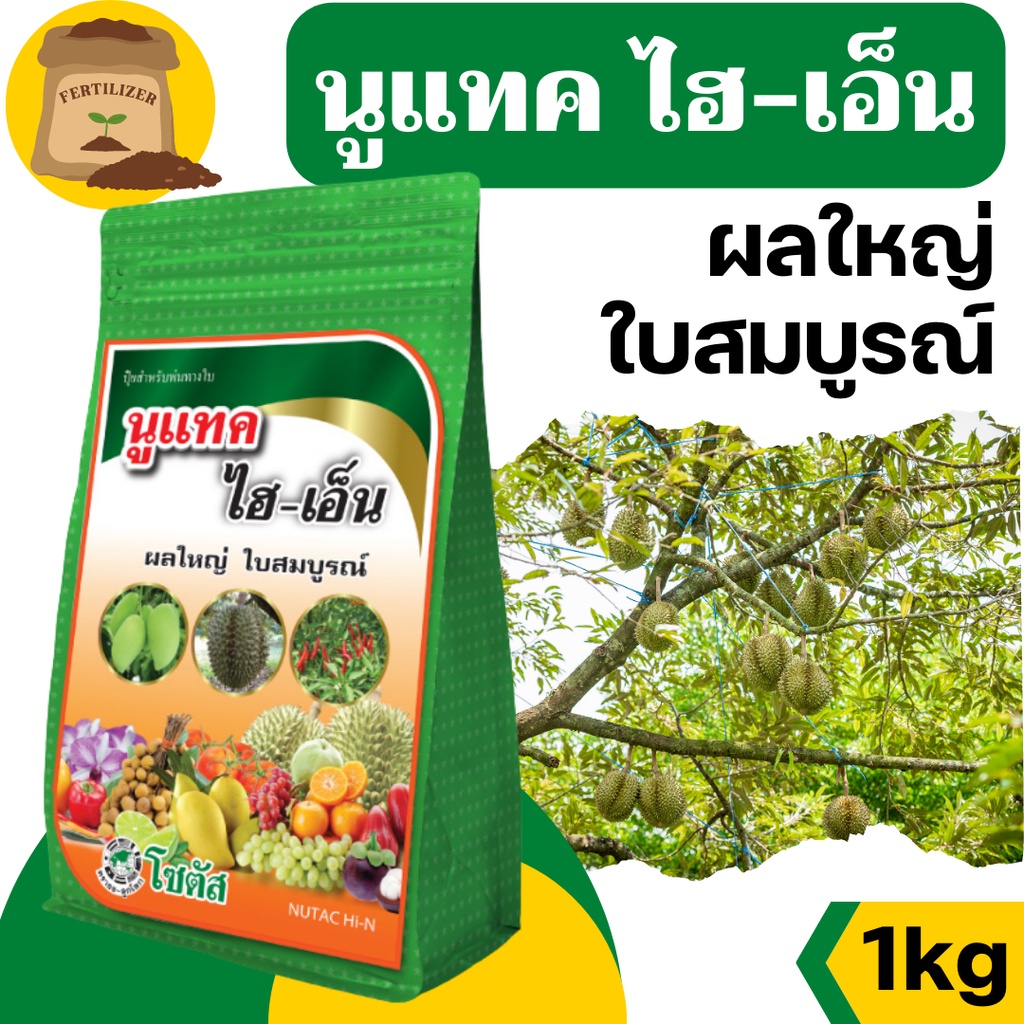 [1kg] นูแทค ไฮเอ็น -ผลใหญ่ ใบสมบูรณ์ -ขนาด 1 กิโลกรัม